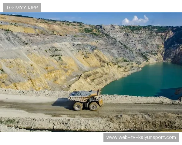 高层盯上这些目标：如何精准识别企业发展的潜力点